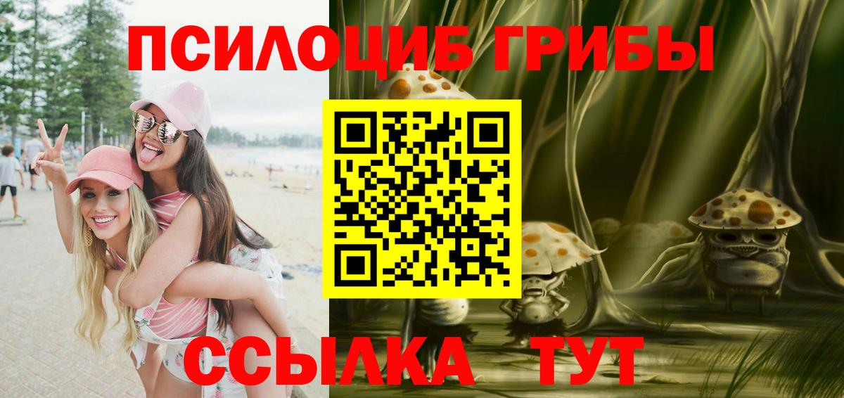 Сосновоборск  Галлюциногенные грибы прущие грибы  Вход с VPN 